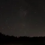Auf Der Alm