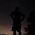 Auf Der Alm *