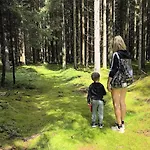 Auf Der Alm