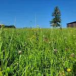Auf Der Alm Country house Langschlag (Grafenschlag)