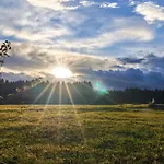 Venkovský dům Auf Der Alm Langschlag (Grafenschlag)