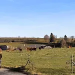 Auf Der Alm