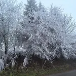 Auf Der Alm Venkovský dům Langschlag (Grafenschlag)
