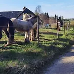 Auf Der Alm Venkovský dům *