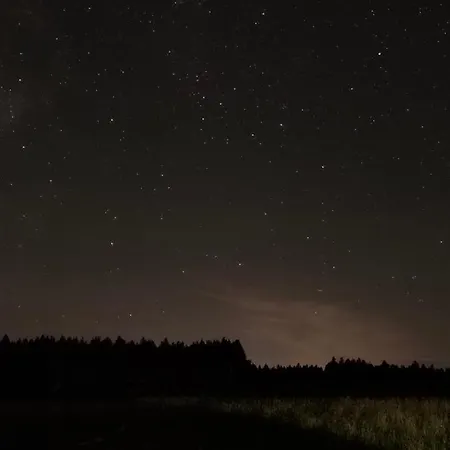 Auf Der Alm Langschlag (Grafenschlag)