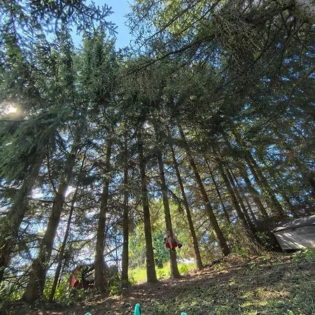 Venkovský dům Auf Der Alm *