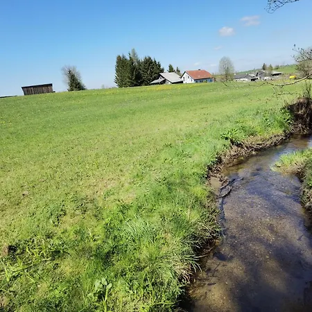 Auf Der Alm Gospodarstwo wiejskie Langschlag (Grafenschlag)