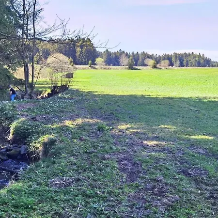 Landsted Auf Der Alm Langschlag (Grafenschlag)