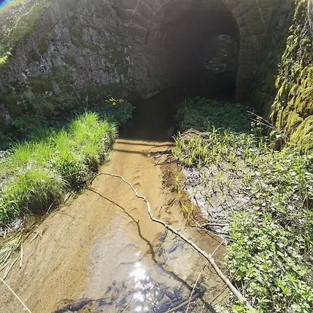 Landsted Auf Der Alm