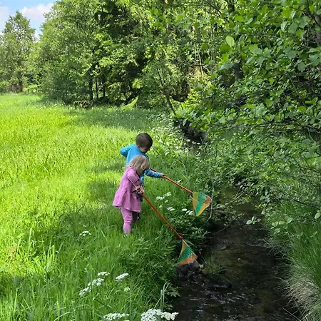 Auf Der Alm *