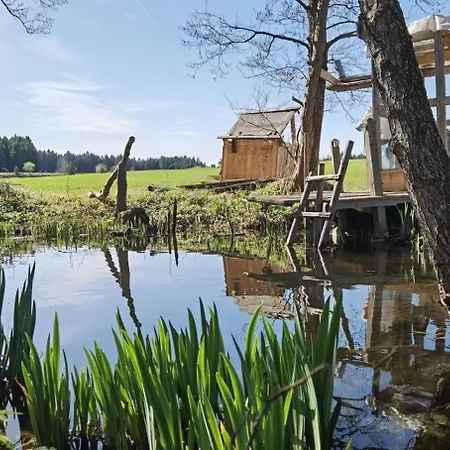 Gospodarstwo wiejskie Auf Der Alm Langschlag (Grafenschlag)
