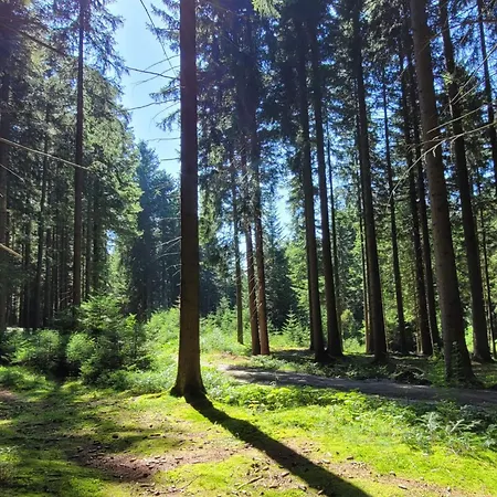 Landsted Auf Der Alm
