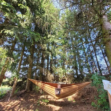 Landsted Auf Der Alm