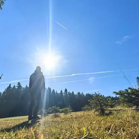 Venkovský dům Auf Der Alm Langschlag (Grafenschlag)