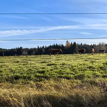 Auf Der Alm Landsted