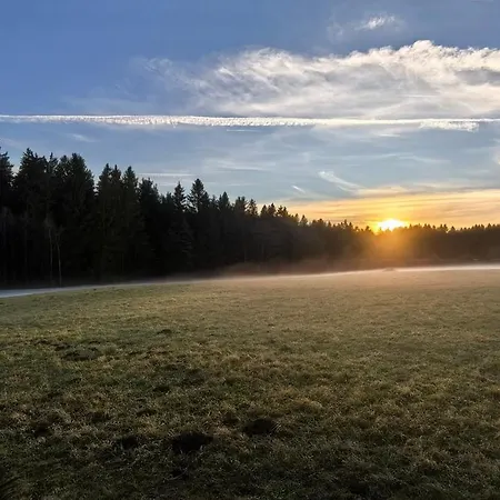 Auf Der Alm *