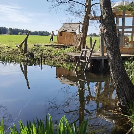 Auf Der Alm Langschlag (Grafenschlag)