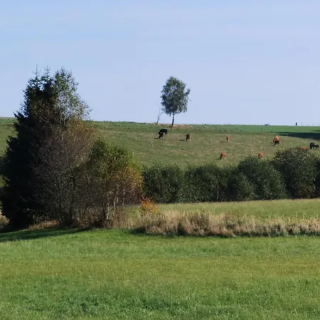 Venkovský dům Auf Der Alm *