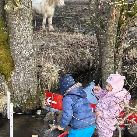 乡村民宿 Auf Der Alm