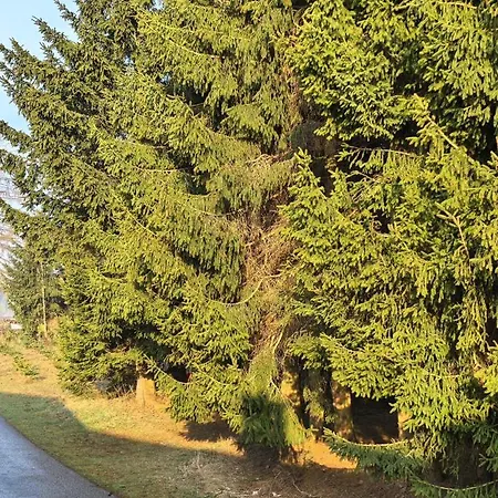 Auf Der Alm Langschlag (Grafenschlag)