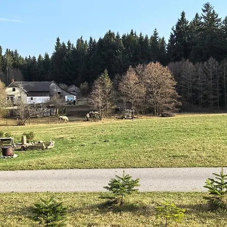 Auf Der Alm *