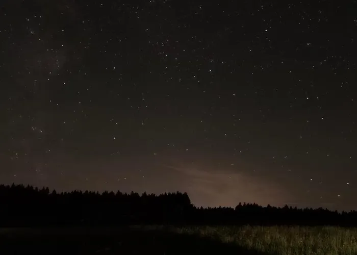 Auf Der Alm Langschlag (Grafenschlag)