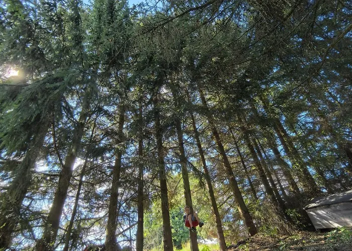 Εξοχικό σπίτι Auf Der Alm *