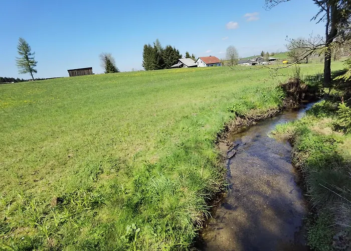 Auf Der Alm Εξοχικό σπίτι Langschlag (Grafenschlag)