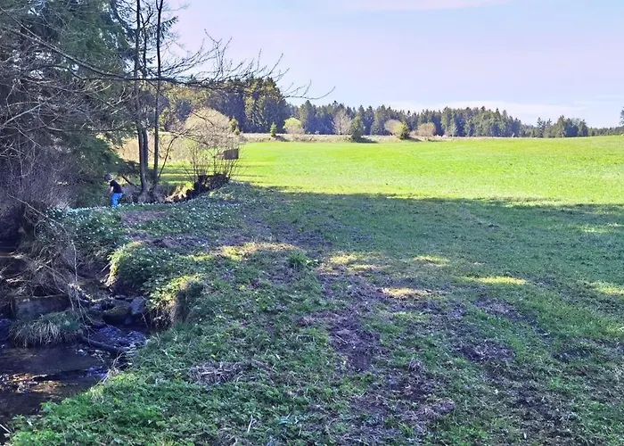 Εξοχικό σπίτι Auf Der Alm Langschlag (Grafenschlag)