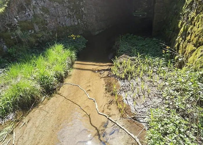 Casa di campagna Auf Der Alm