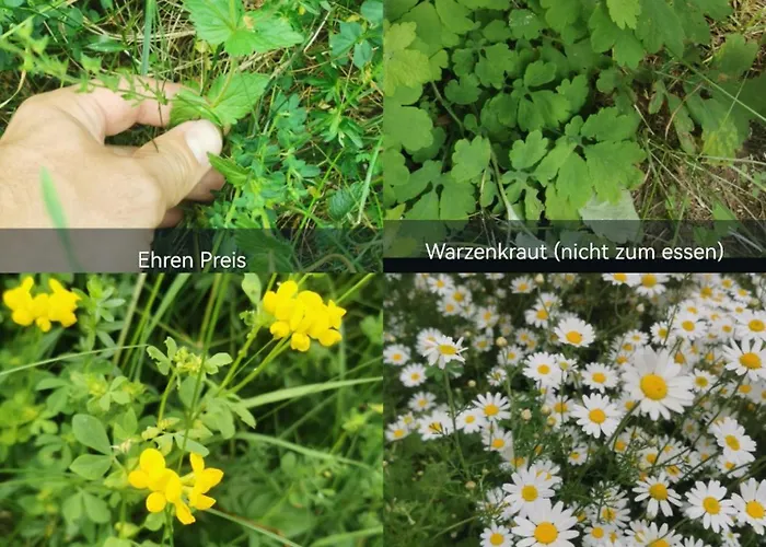 Auf Der Alm Casa di campagna *