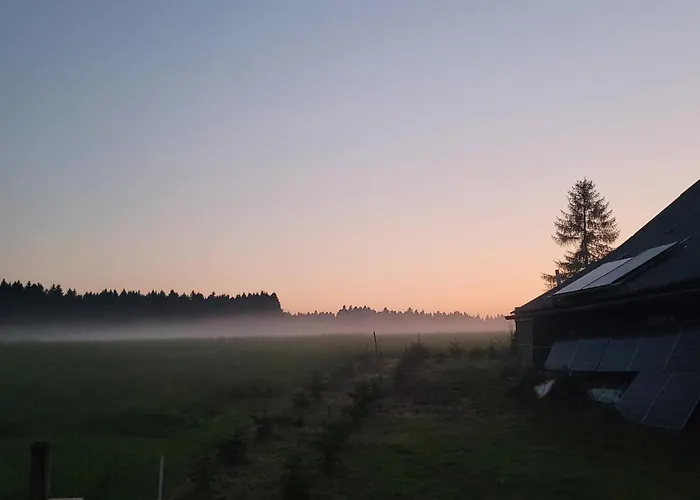 Auf Der Alm Langschlag (Grafenschlag)
