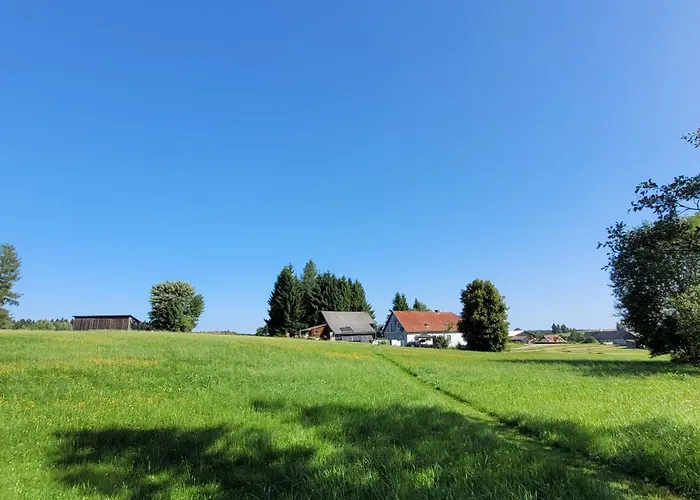 Auf Der Alm * Langschlag (Grafenschlag)