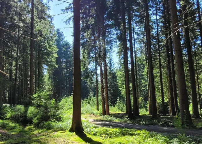 Venkovský dům Auf Der Alm