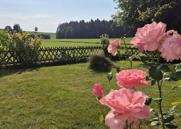 Auf Der Alm Langschlag (Grafenschlag)