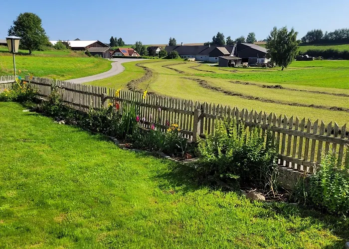 Auf Der Alm * Langschlag (Grafenschlag)