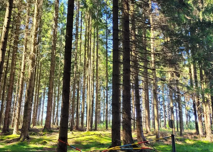 Venkovský dům Auf Der Alm *