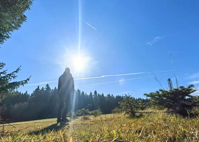 Venkovský dům Auf Der Alm Langschlag (Grafenschlag)
