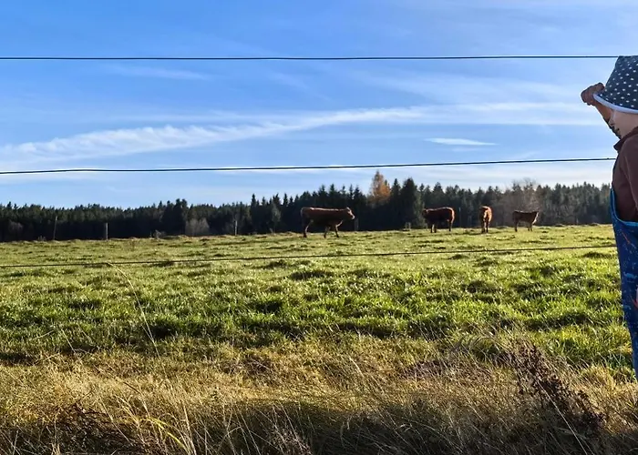 Auf Der Alm Venkovský dům