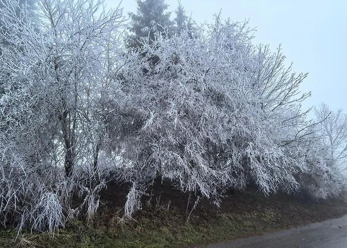 Auf Der Alm Εξοχικό σπίτι Langschlag (Grafenschlag)