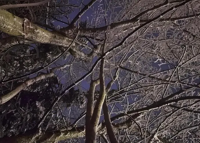 Εξοχικό σπίτι Auf Der Alm Langschlag (Grafenschlag)