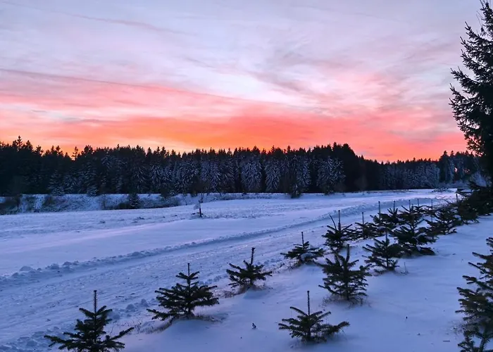 Auf Der Alm Venkovský dům *