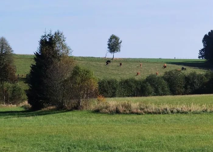 Venkovský dům Auf Der Alm *